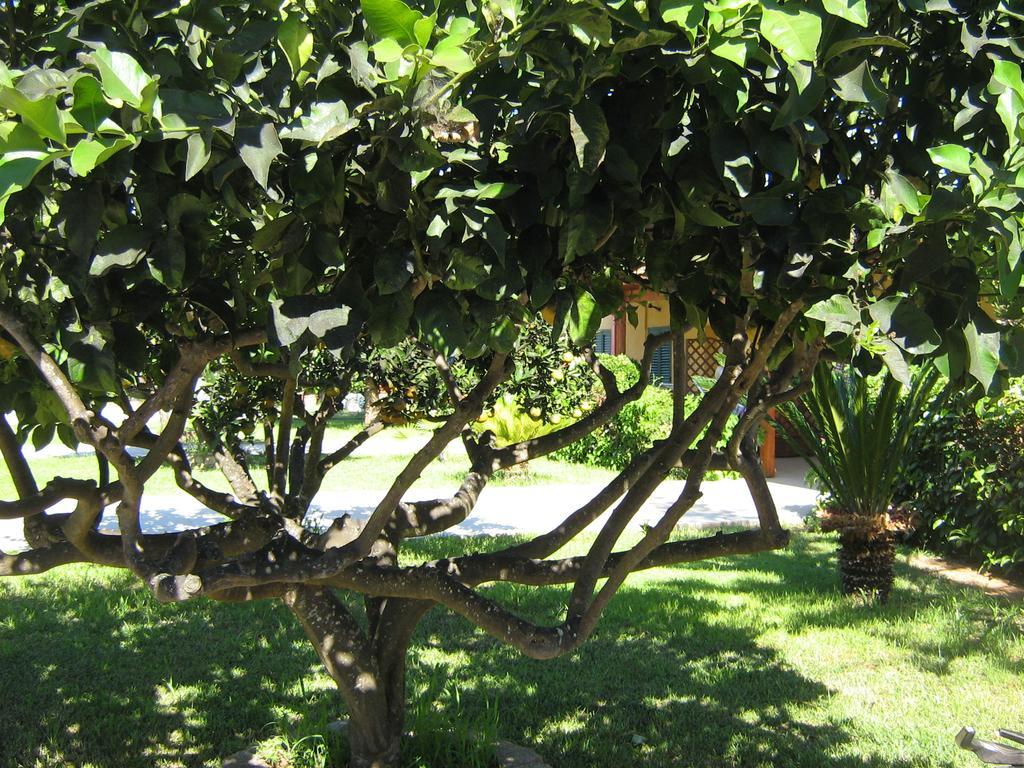 Tenuta Paifer Otranto Exterior photo