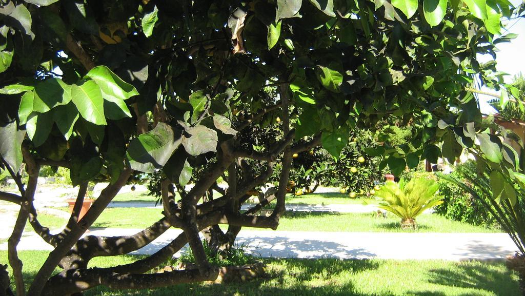 Tenuta Paifer Otranto Exterior photo